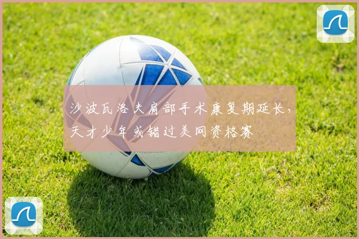 沙波瓦洛夫肩部手术康复期延长,天才少年或错过美网资格赛